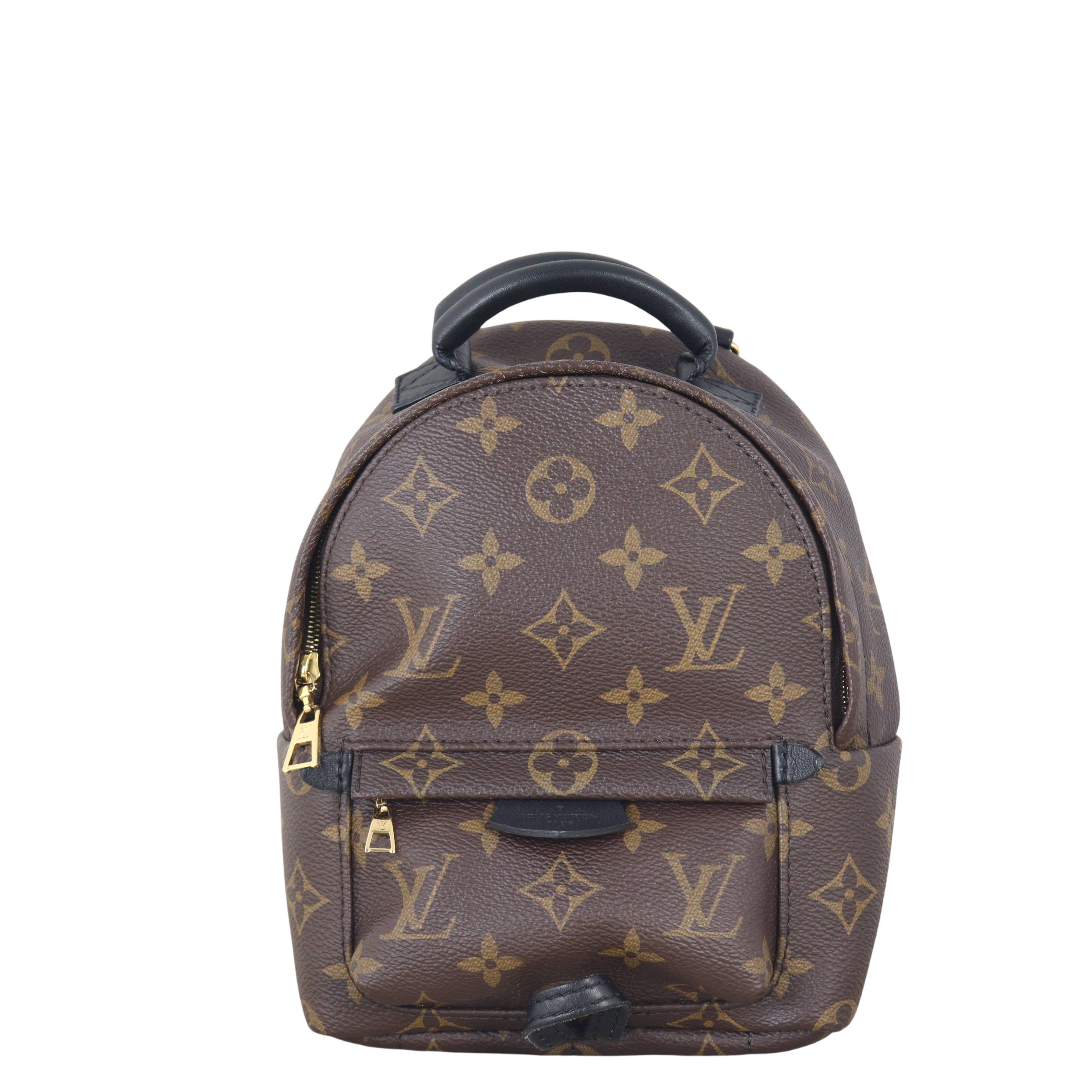 Louis Vuitton Palm Springs Mini Backpack Monogram – Luxe.It.Fwd