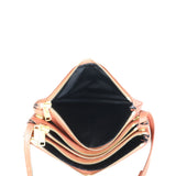 Celine Trio Small Whole interior
