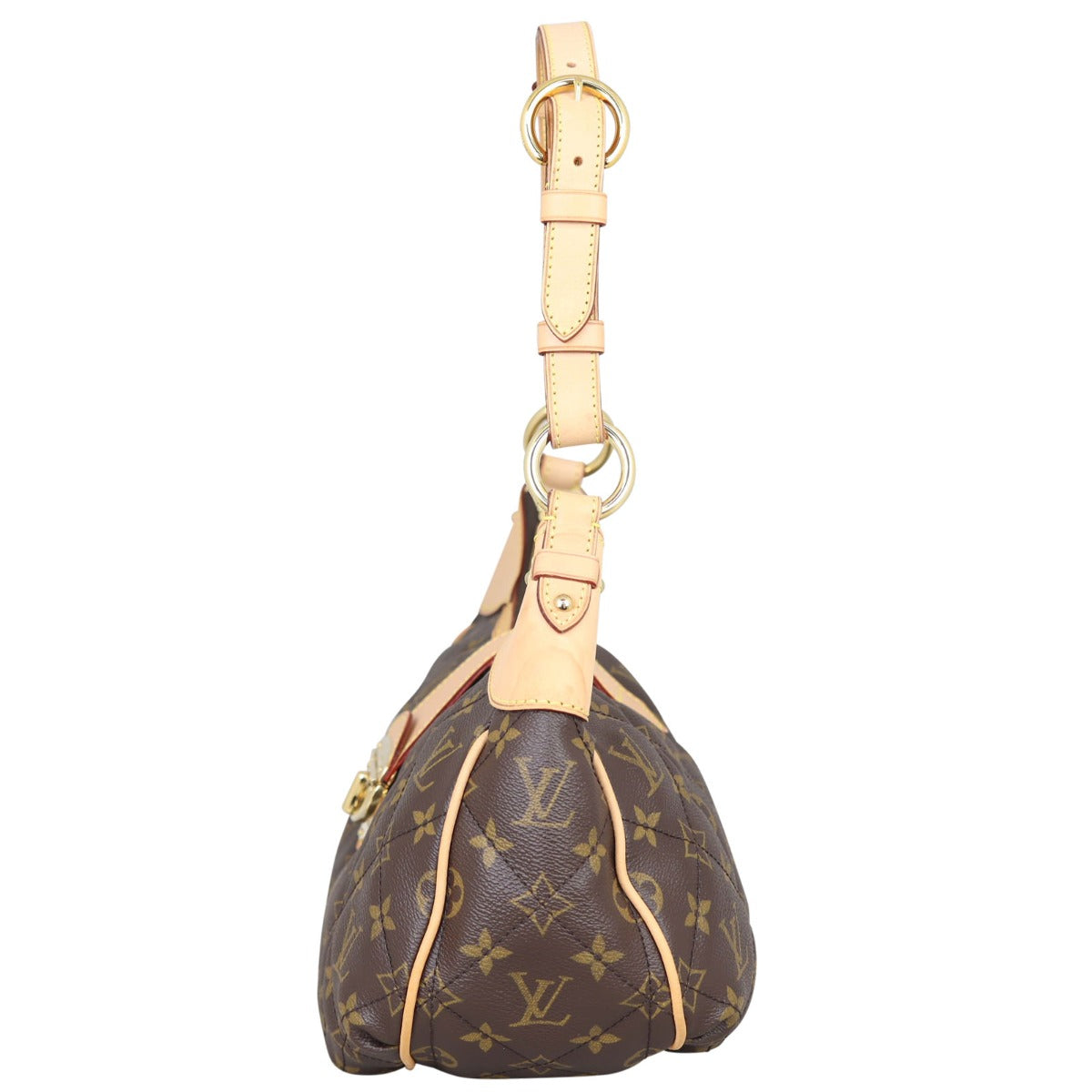 Louis Vuitton Etoile City PM Monogram Side