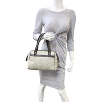 Louis Vuitton Josephine PM Mini Lin Mannequin