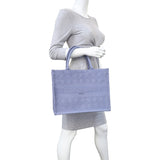 Dior Book Tote Medium Mannequin