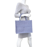 Dior Book Tote Medium Mannequin