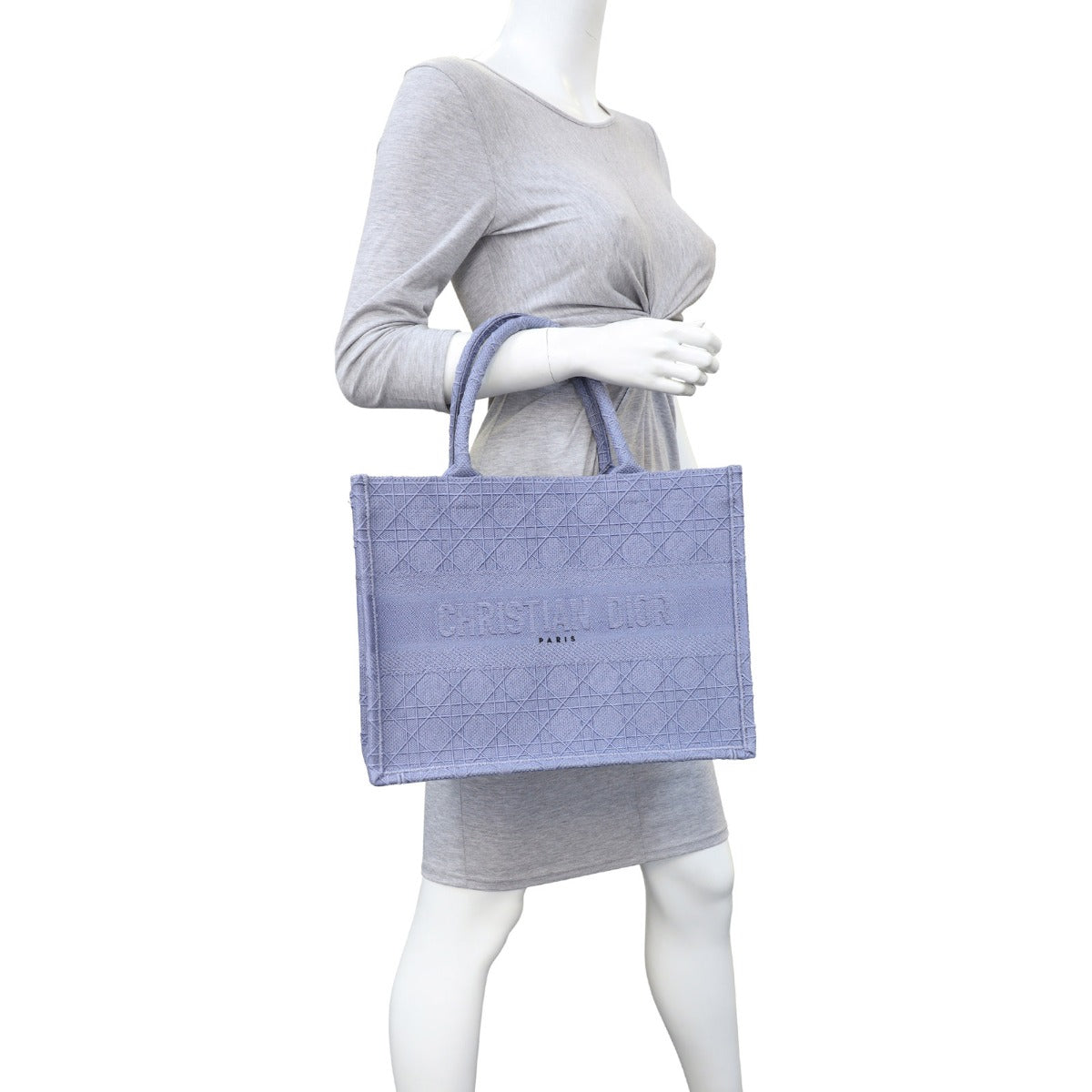 Dior Book Tote Medium Mannequin