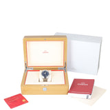 Omega Seamaster Aqua Terra Co-Axial Master Chronometer 41mm Watch Components