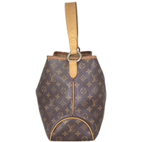 Louis Vuitton Delightful PM Monogram Side