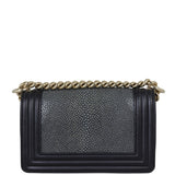 Chanel Boy Small Galuchat Back