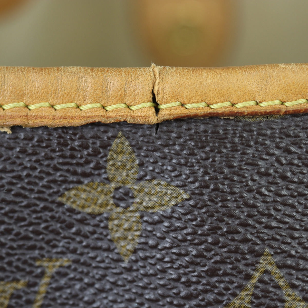 Louis Vuitton Galliera PM Monogram Wear