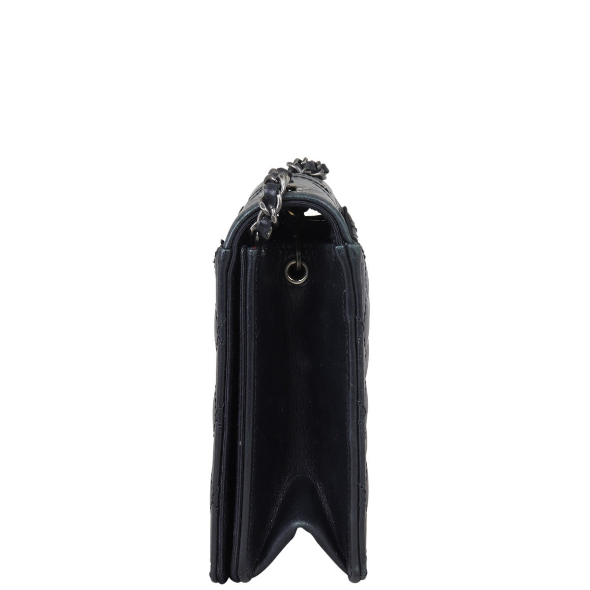 Chanel Ballerine Flap Bag Side