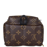 Louis Vuitton Palm Springs Mini Backpack Monogram Base