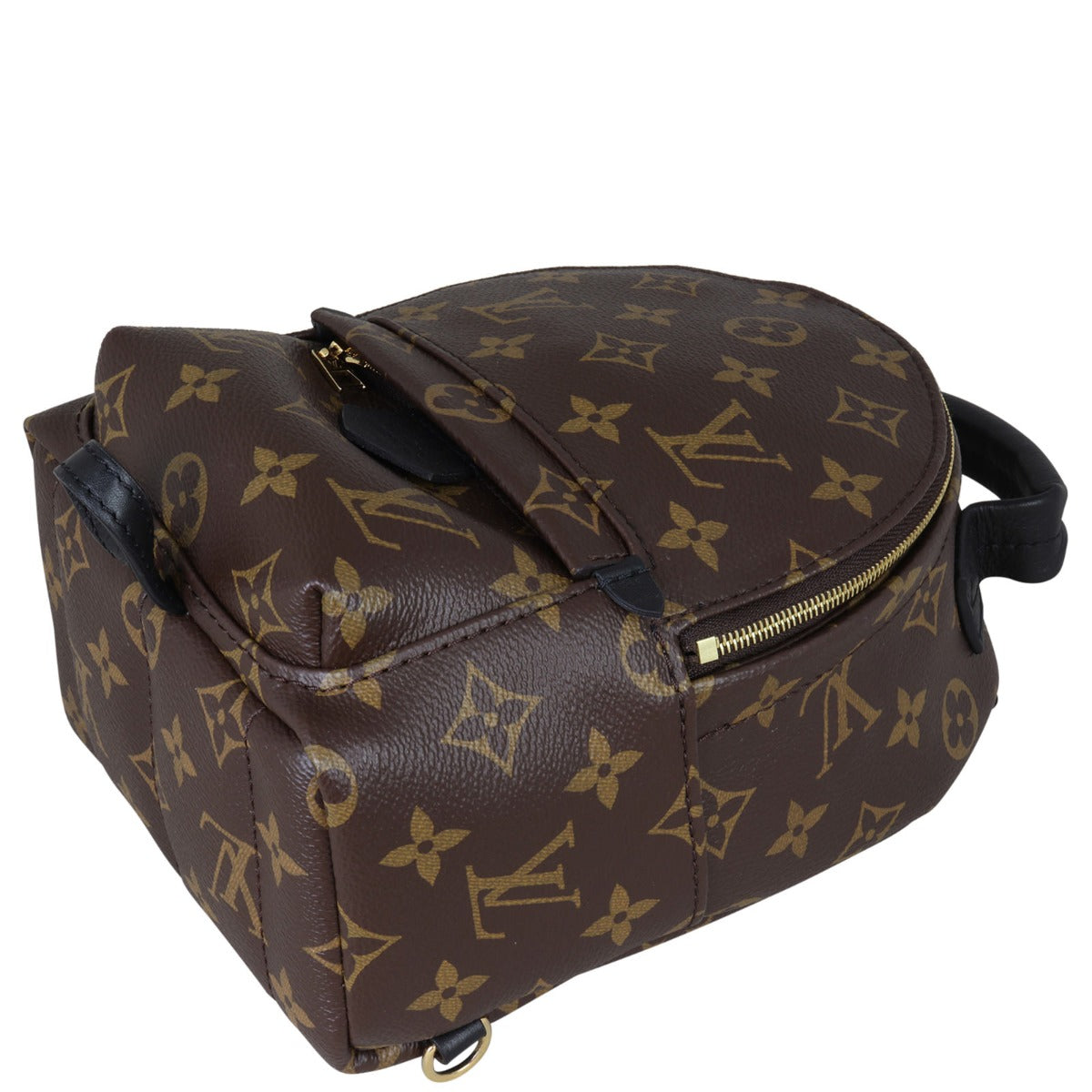 Louis Vuitton Palm Springs Mini Backpack Monogram Corner Distance