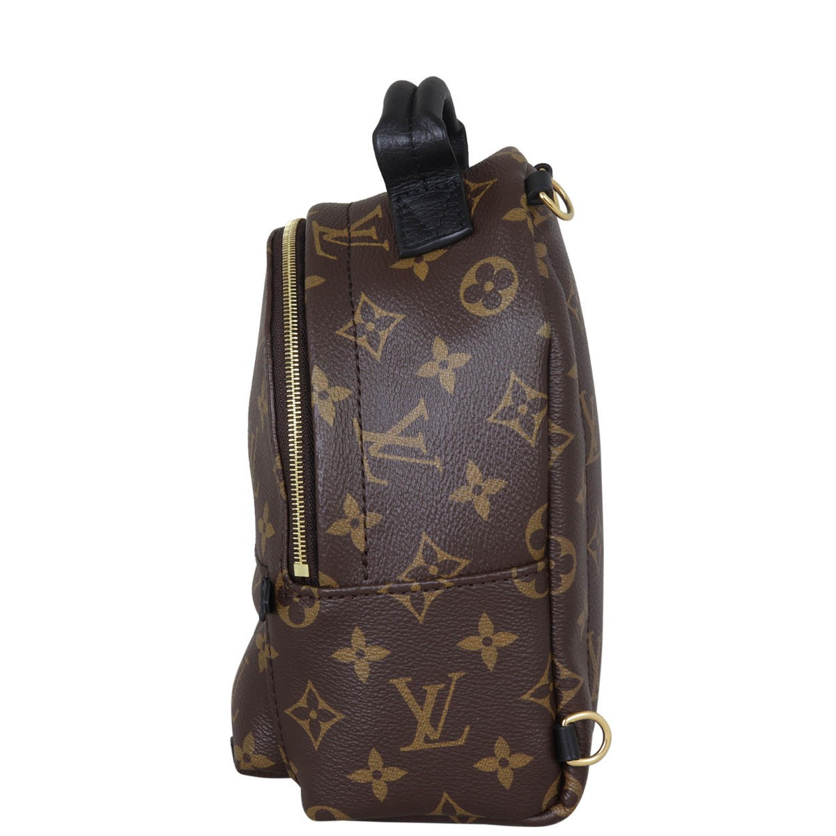 Louis Vuitton Palm Springs Mini Backpack Monogram Side