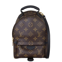 Louis Vuitton Palm Springs Mini Backpack Monogram Front with Strap