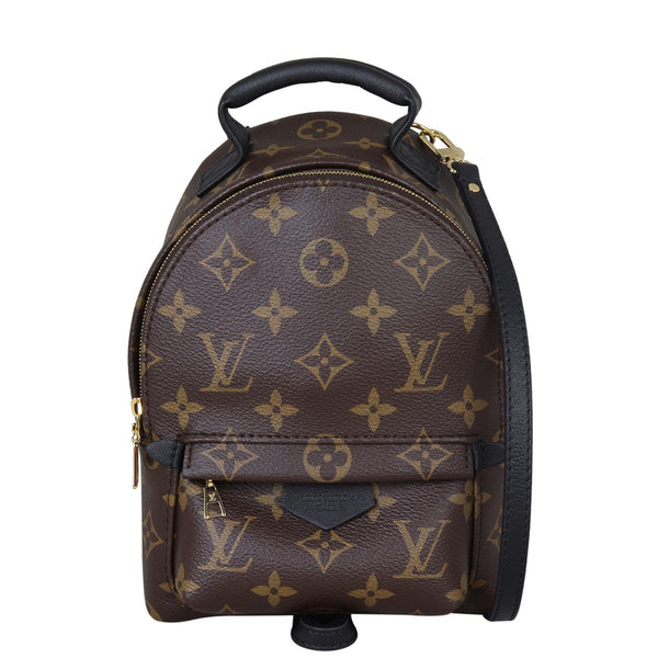 Louis Vuitton Palm Springs Mini Backpack Monogram – Luxe.It.Fwd