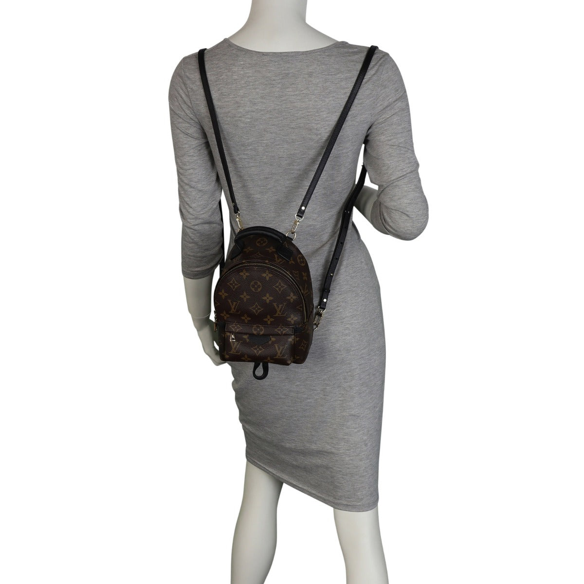 Louis Vuitton Palm Springs Mini Backpack Monogram Mannequin