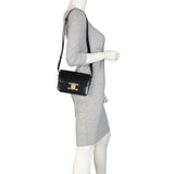 Celine Triomphe Crossbody Medium Mannequin