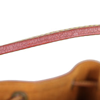 Louis Vuitton Neo Epi Interior Wear