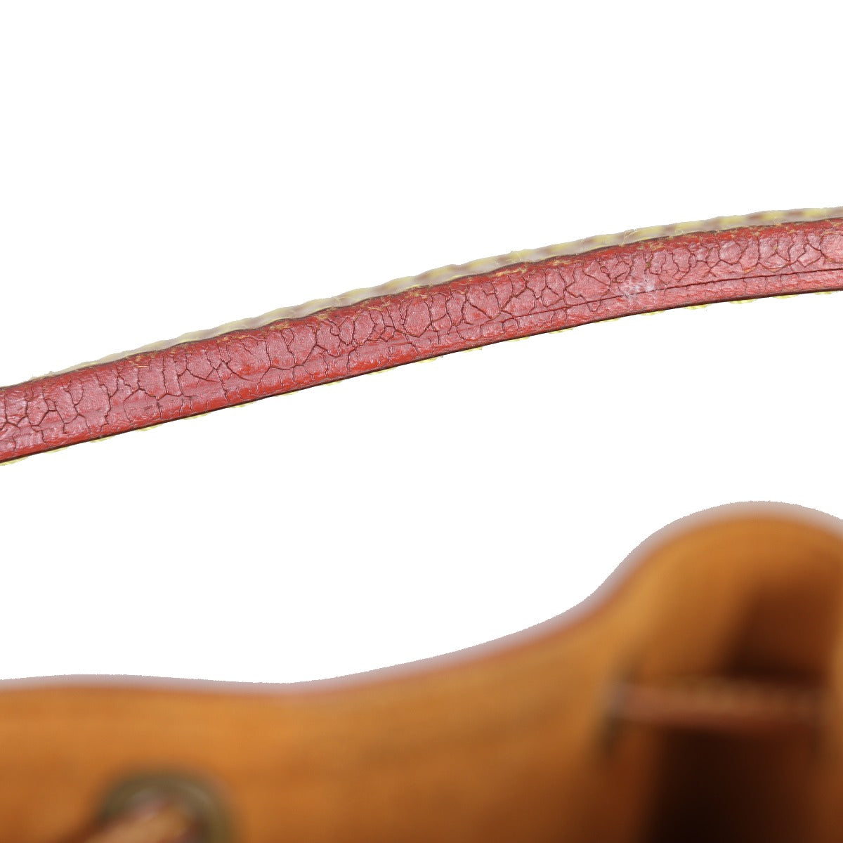 Louis Vuitton Neo Epi Interior Wear