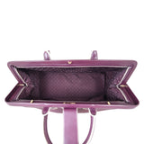 Louis Vuitton Suhali L’Ingenieux PM Whole Interior