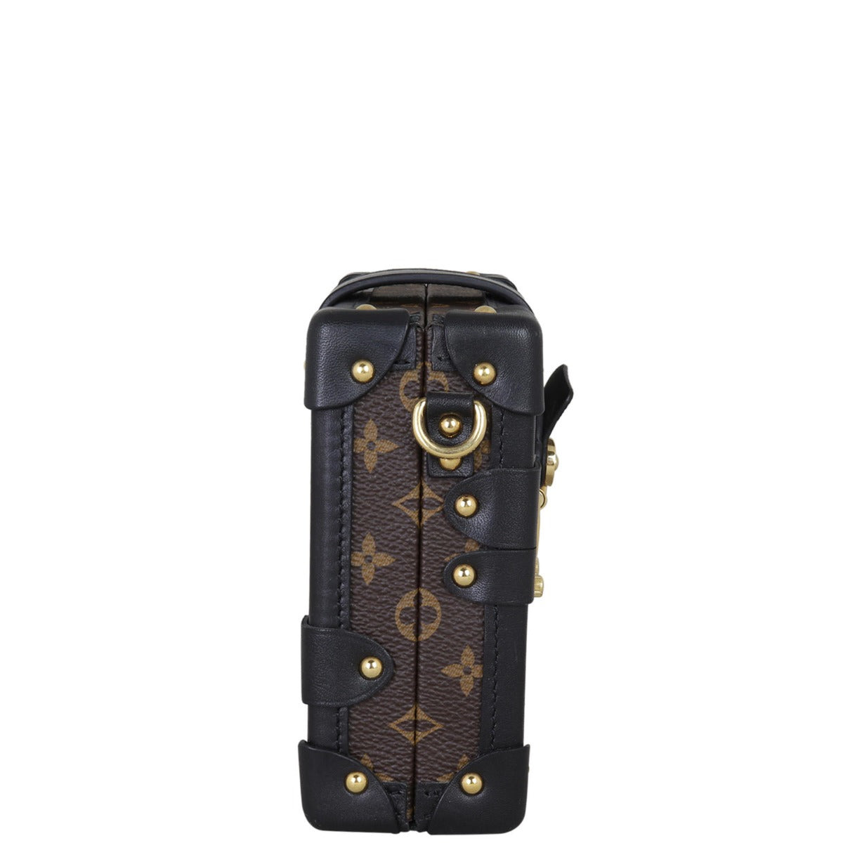 Louis Vuitton Petite Malle Monogram My LV World Tour Side