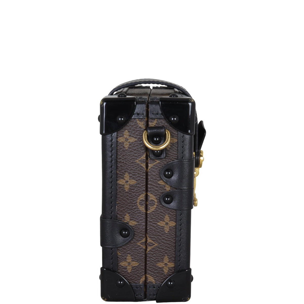 Louis Vuitton Petite Malle Monogram (different strap) side