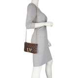 Louis Vuitton Double Zip Pochette Damier Ebene Mannequin