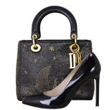 Dior Lady Dior Medium The Moon In My Eyes Shoe
