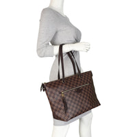 Louis Vuitton Iena PM Damier Ebene Mannequin