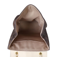 Louis Vuitton Clapton Backpack Damier Ebene Whole Interior