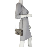 Gucci Dionysus GG Supreme Chain Wallet Mannequin