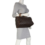 Louis Vuitton Speedy 30 Monogram Mannequin