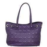 Dior Panarea Tote Back