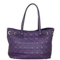 Dior Panarea Tote Back