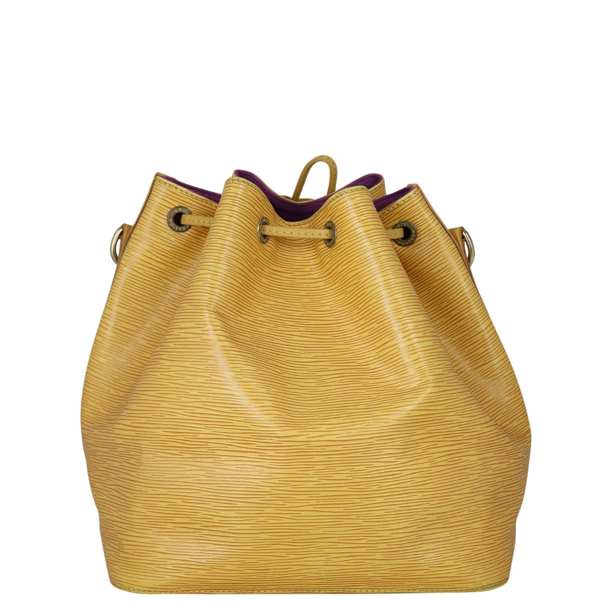 Louis Vuitton Petit Noe Epi Back