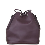 Louis Vuitton Petit Noe Epi Back