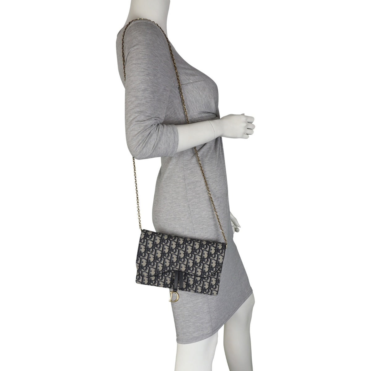 Dior Saddle Pouch Wallet on Chain Oblique Mannequin