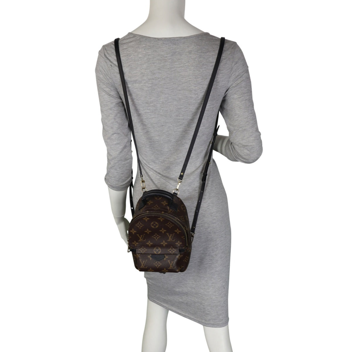 Louis Vuitton Palm Springs Mini Backpack Monogram Mannequin