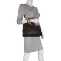 Louis Vuitton Speedy 25 Monogram Mannequin