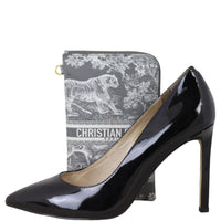 Dior Diortravel Multifunction Pouch