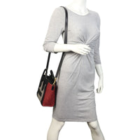 Celine Nano Luggage Tote