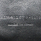 Saint Laurent Lou Mini Camera Bag