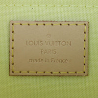 Louis Vuitton Neverfull Pochette Damierlicious
