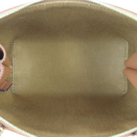 Celine Triomphe Clutch on Chain