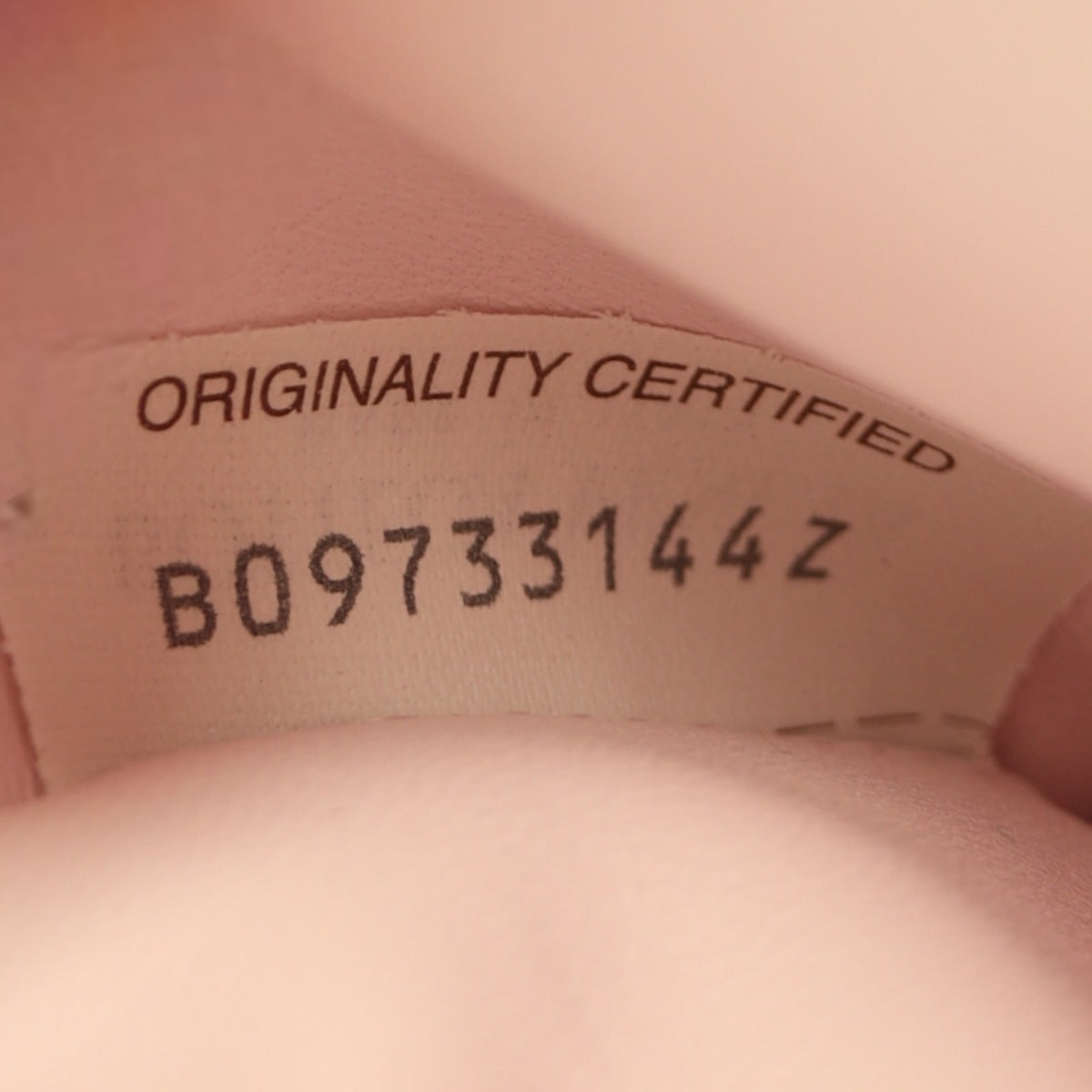 Bottega Veneta Cassette Bag