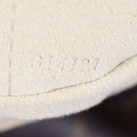 Louis Vuitton Artsy MM Monogram