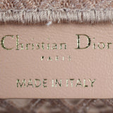 Dior Book Tote Small Vertical