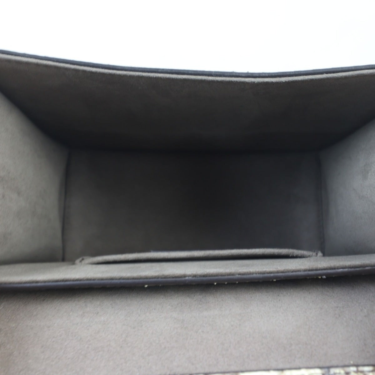 Fendi Kan I Crossbody Small Python