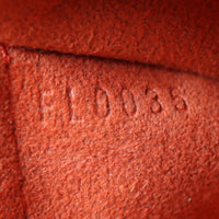 Louis Vuitton Recoleta Damier Ebene