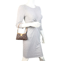 Louis Vuitton Delightful Mini Monogram