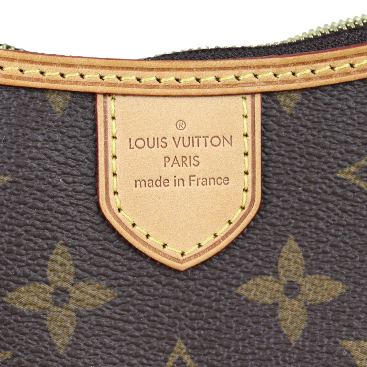Louis Vuitton Delightful Mini Monogram