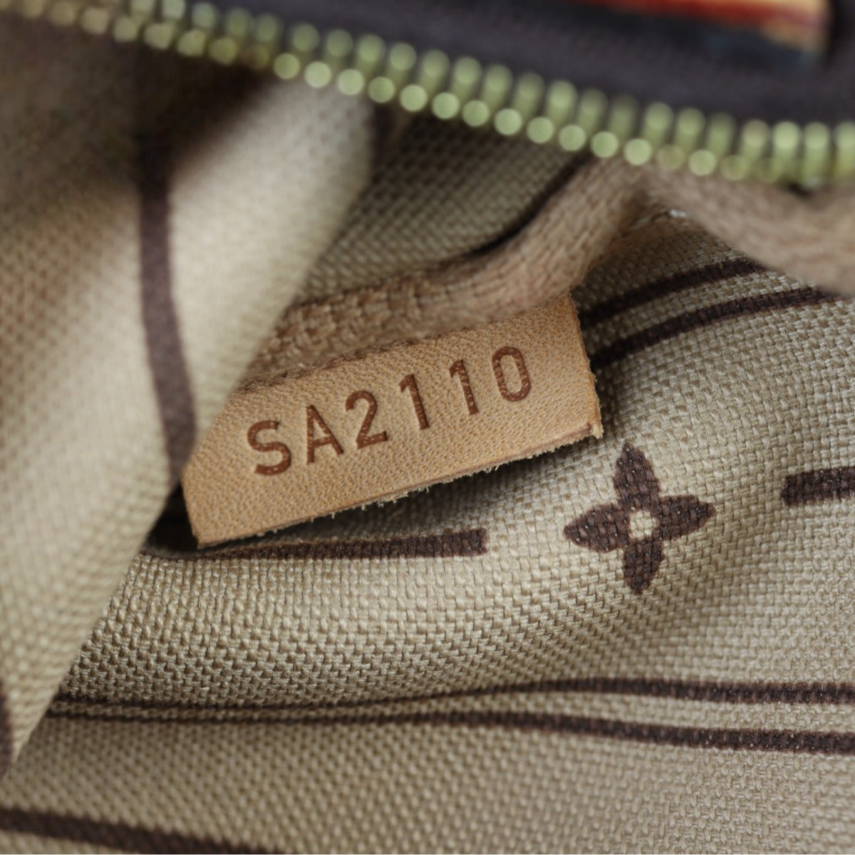 Louis Vuitton Delightful Mini Monogram